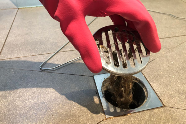 Drain Cleaning