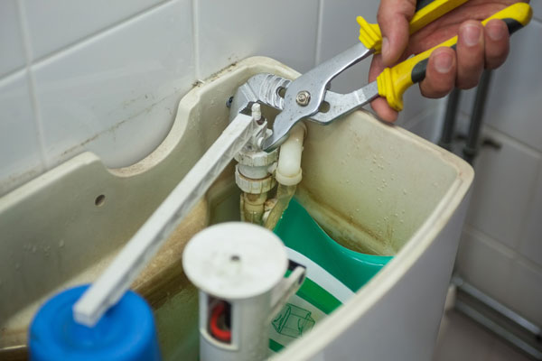 Toilet Repair